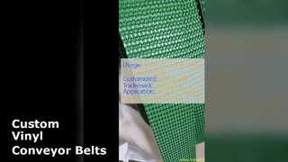 カスタムビニールコンベヤベルトソリューション